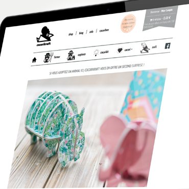 cocorikraft_siteweb_mini